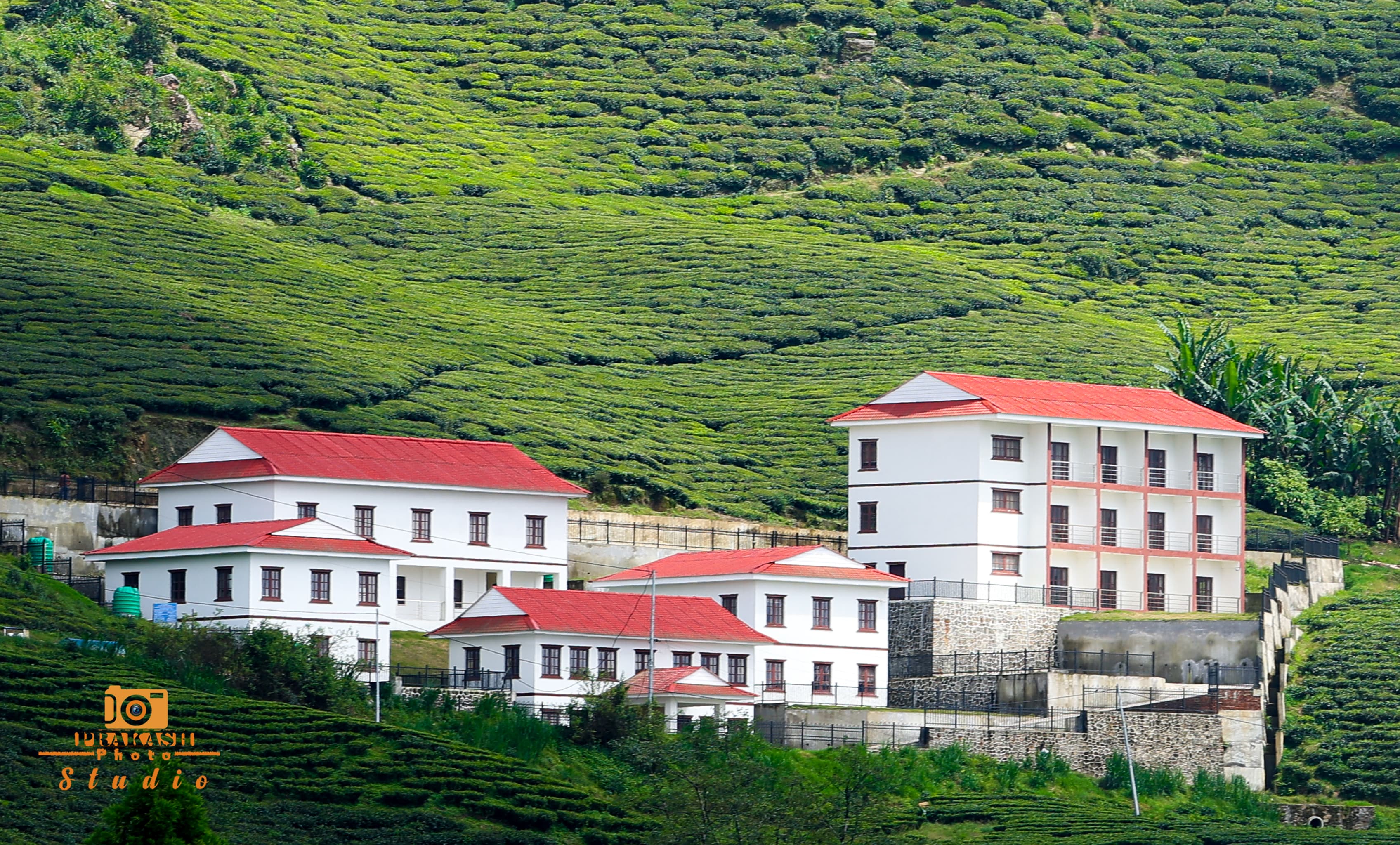 चिया परीक्षण तथा अनुसन्धान केन्द्र